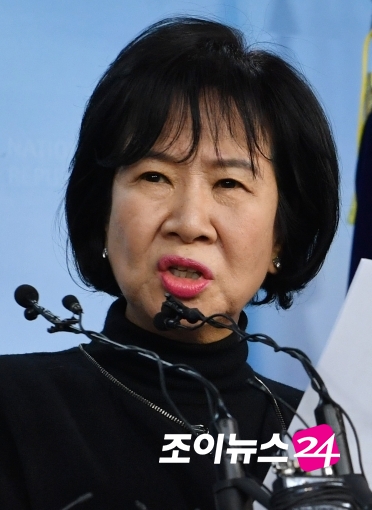 손혜원 전 의원 [사진=조성우 기자]